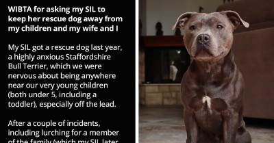 Man Asks If He'll Be Wrong For Asking His SIL To Keep Her Rescue Dog Away From Him And His Family