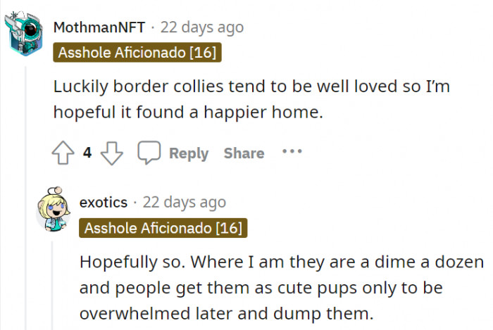 3. Hopefully, the Collie found a better home where it will be loved and given the proper care it needs