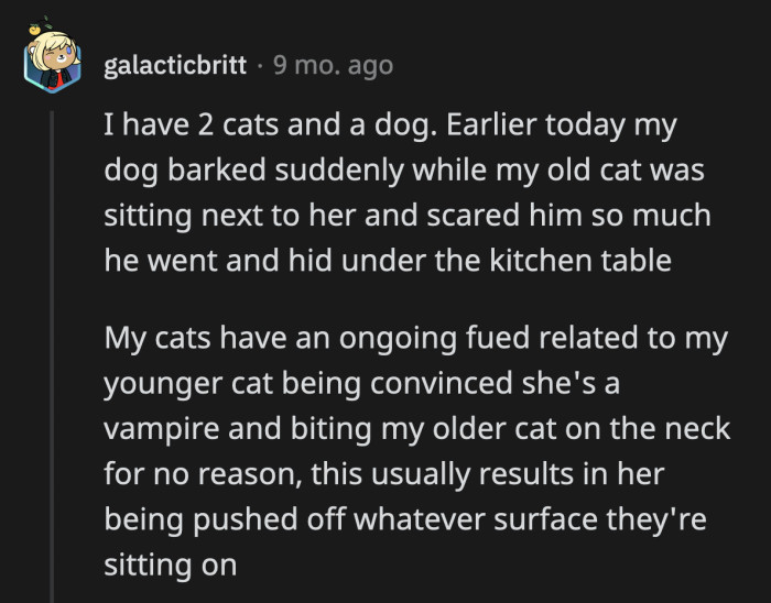 32. A vampire cat sounds like a dangerous combo