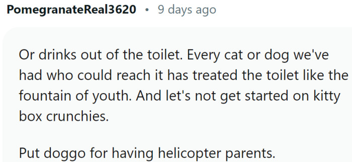Helicopter dog parents
