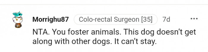 You foster animals, and you know it can't stay