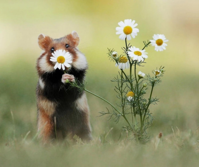 2. I love sniffing flowers