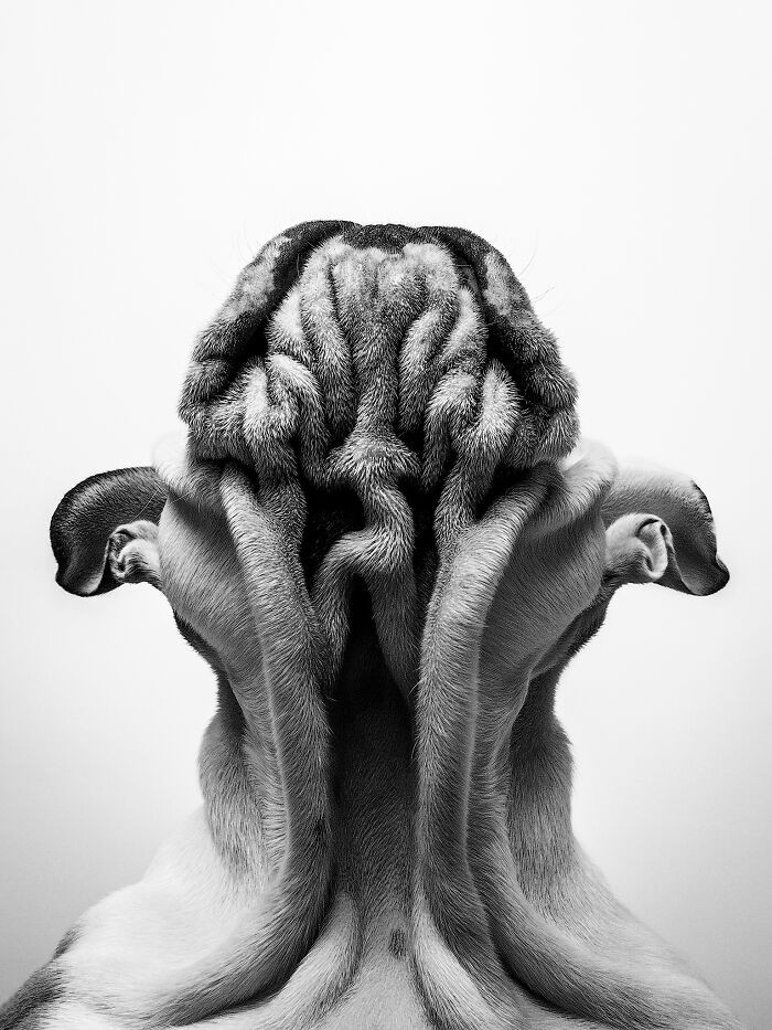 7. Su Kaye, 1st Place Winner in the Studio Category