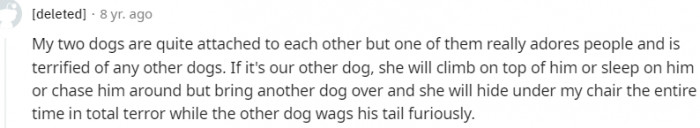 19. My dogs are attached to each other