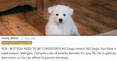 Redditor Wonders If It's Okay To Ask FIL To Leave Their Dogs At Home When They Come To Visit