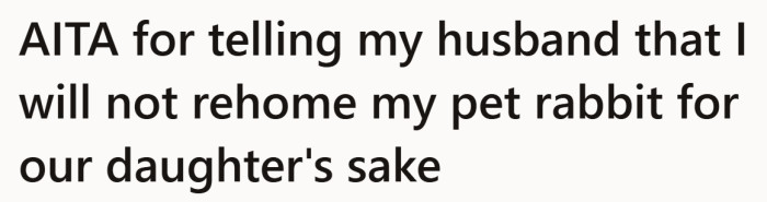 A single sentence that quietly sets the stakes. One marriage, one child, and a pet that already feels like family.