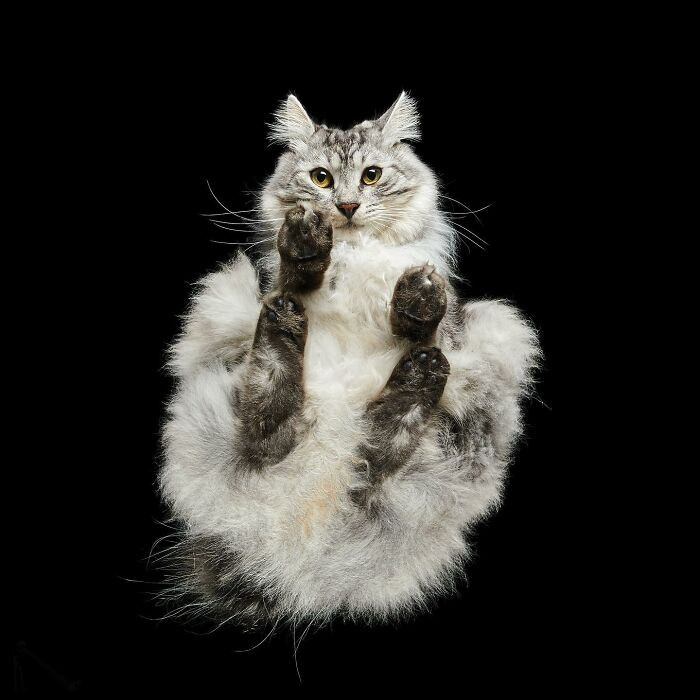 18. “When you sit down and immediately forget what your limbs are doing.”