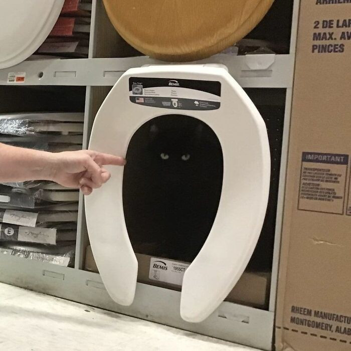 "The Void Is Trying To Sell Me A New Toilet Seat"