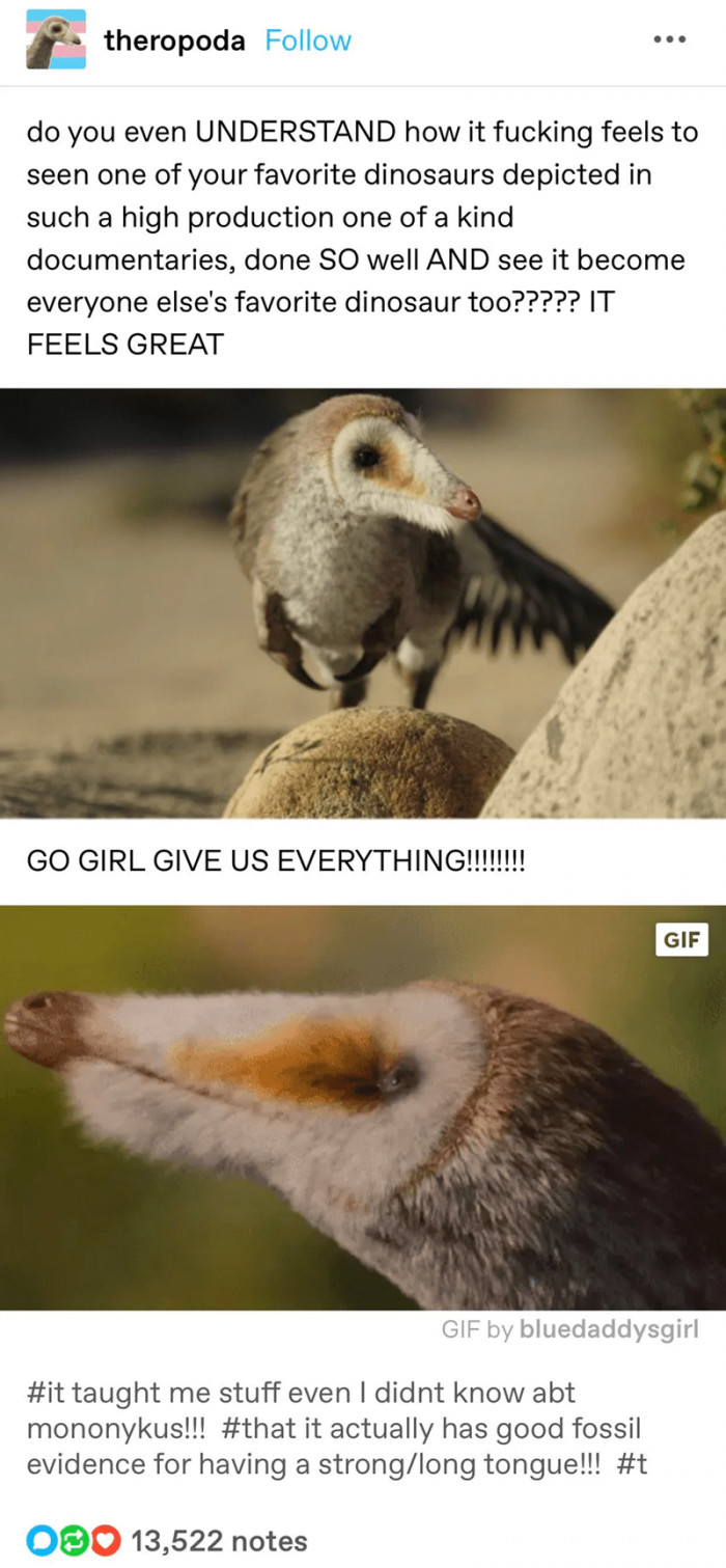 12. The mononykus is gaining more fans