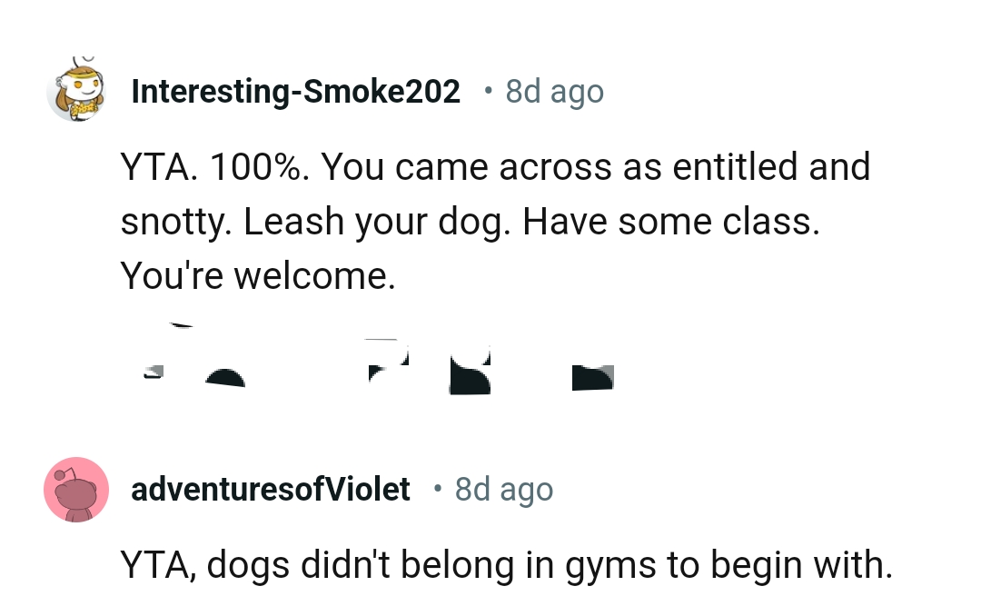 The OP should leash her dog and have some class