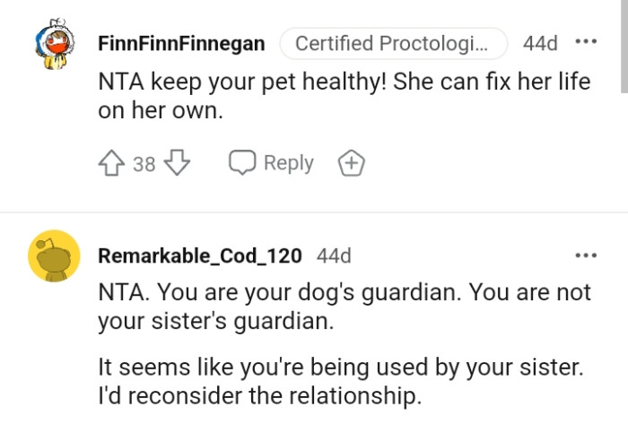 The OP is her dog's guardian and not her sister's guardian