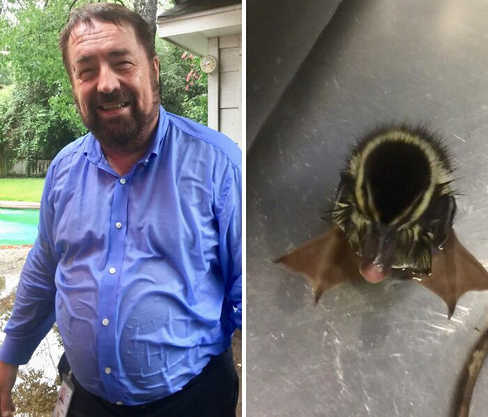"Dad Fell Into Our Pool Saving A Little Duckling. He’s A Ducking Hero"