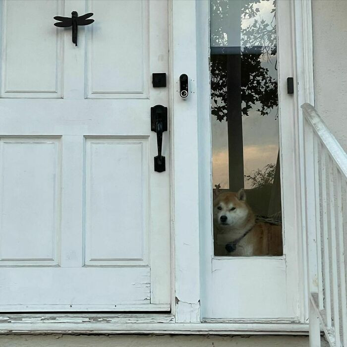 11. If I don't like you, don't even come close