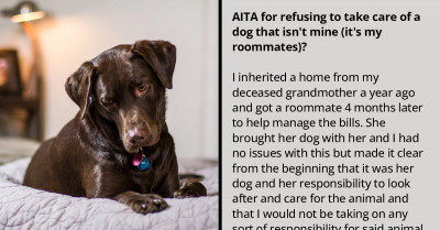 Socially Active Young Woman Asks To Be Judged On Reddit After Repeatedly Refusing To Take Care Of Her Roommate's Dog