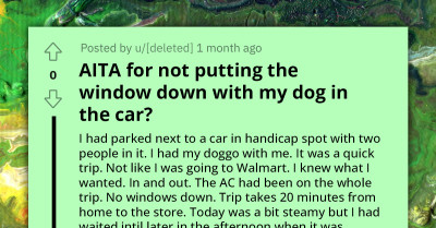 Redditor Called Out By A Man And An Online Community For Not Putting The Windows Down When They Left Their Dog In The Car