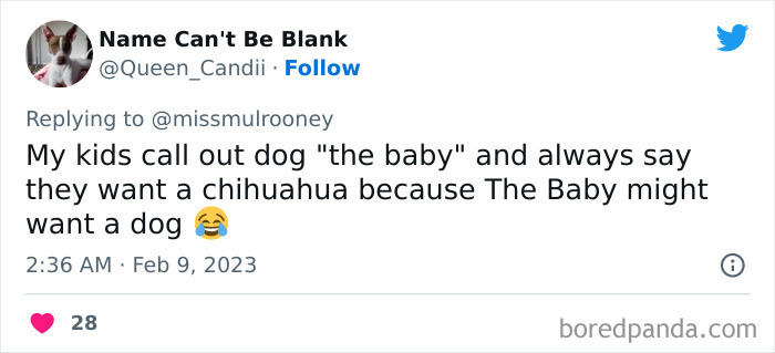 27. The baby might want a dog