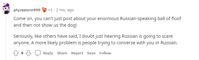 "A more likely problem is people trying to converse with you in Russian."