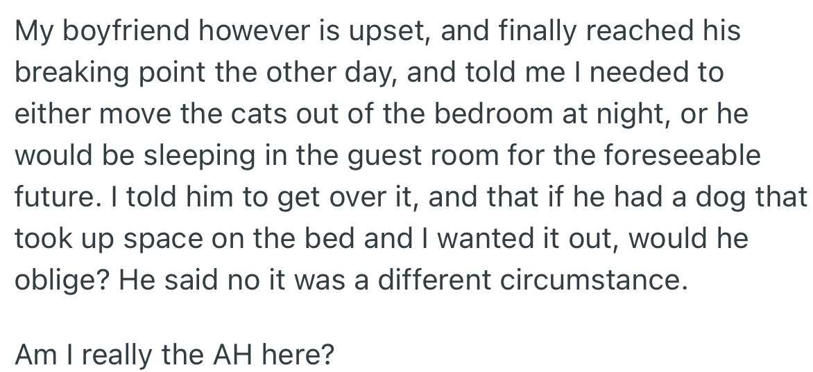 OP’s boyfriend became upset with the cats in the room and their strange behavior at night. He requested that OP move them out of the room, or he would find another sleeping space for himself.