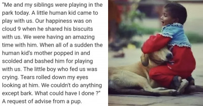 "If Dogs Had Quora, What Kind Of Questions Would They Ask?" Gets Interesting And Funny Replies Online