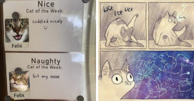 You’re Certainly In For A Treat With These 21 Tweets About Cats And Dogs