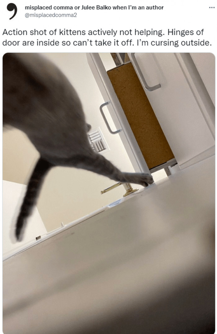 The kittens are basically having a good time while their hooman is trying to get in