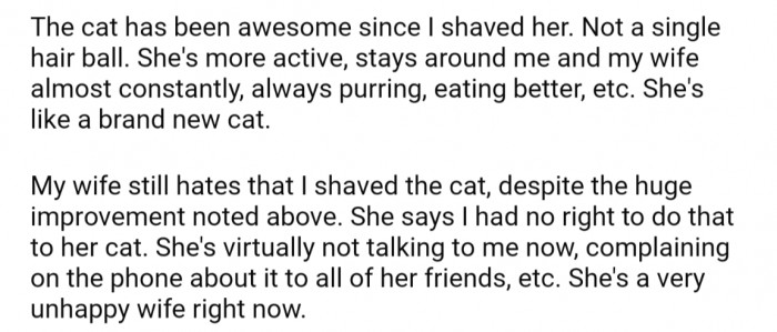 According to OP, the cat has only improved since the shave, but his wife has had a major cat-titude over it