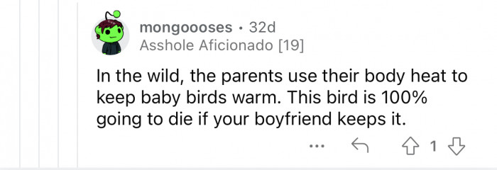 The boyfriend's stubbornness can lead to the bird's death.