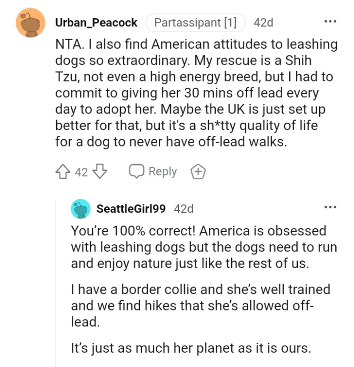This redditor finds American attitudes toward leashing dogs so extraordinary