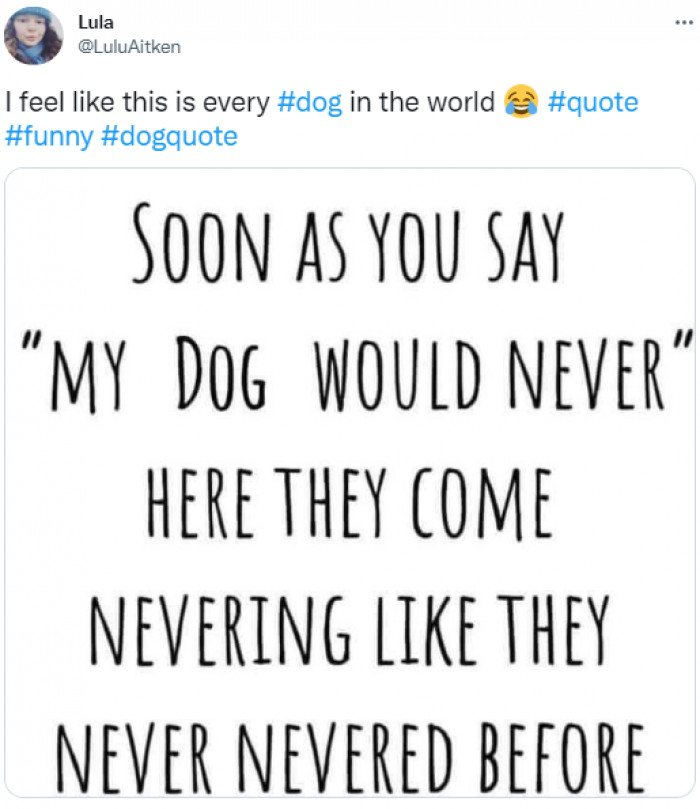 19. Never say never, or you'll be surprised.