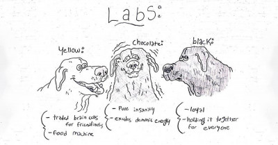 Funny Dog Breed Illustrations and Descriptions Are Memorable and Will Instantly Make You Laugh