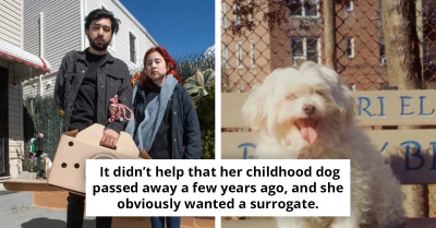 Dog Tragically Euthanized By Shelter Hours After Its Rescue, Shattering Owners’ Hopes For Happy Reunion