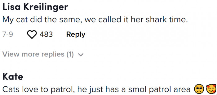 According to some pet owners, their cats do the same thing too.