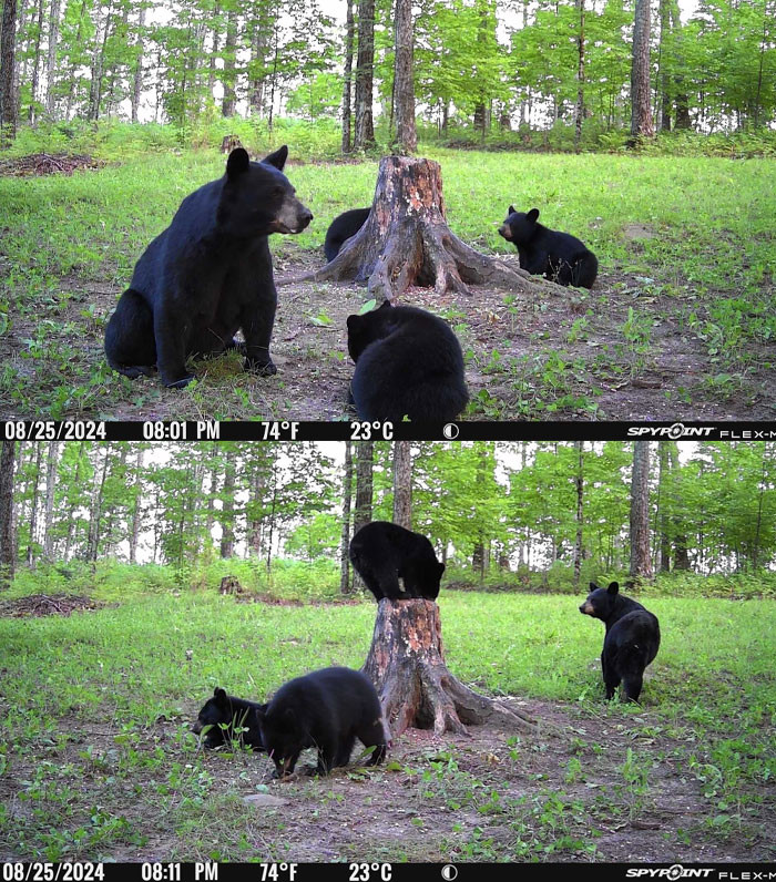 28. Kids Playing Around