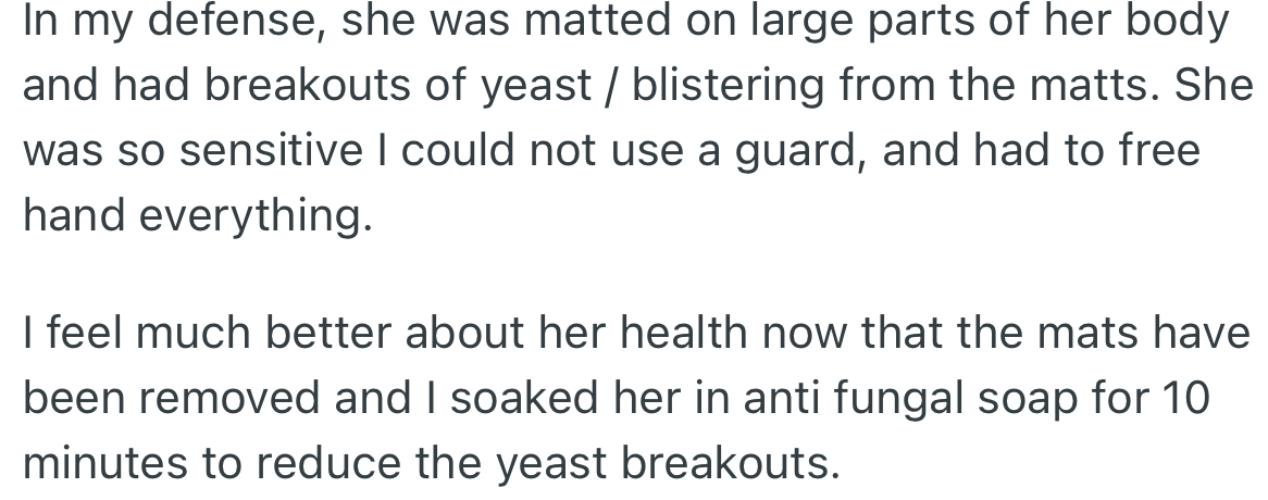 Due to the dog’s blisters and her tangled hair, OP gave her a bath after the shave.