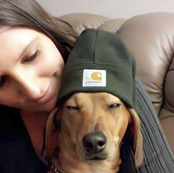 "My Dachshund Lilly Trying Too Hard To Be Snoop Dogg"