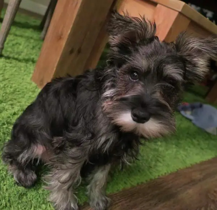 9. Oh, my cute mug is being serious with me right now