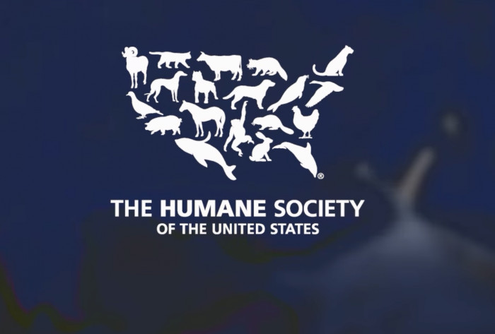 The Humane Society of the United States is one of the many organizations saving these dogs from irresponsible and cruel puppy mills