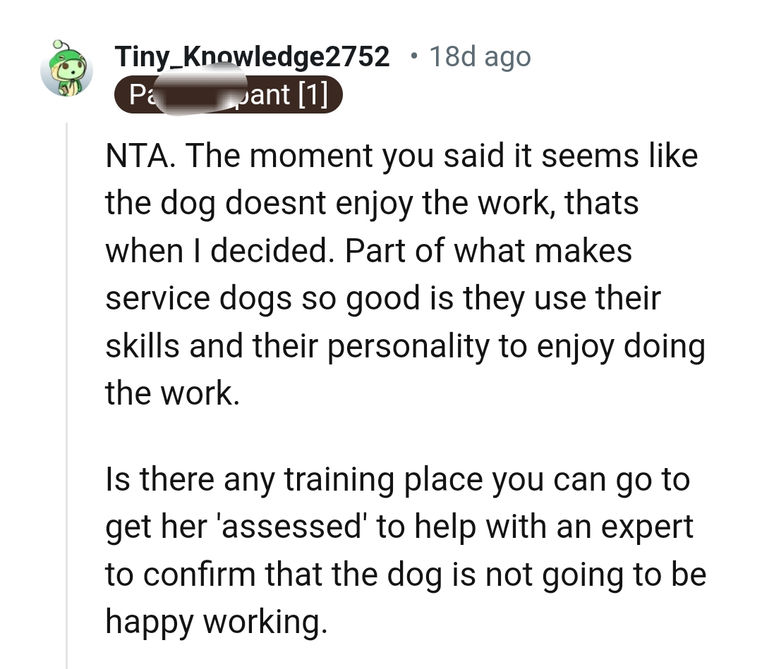 Part of what makes service dogs so good