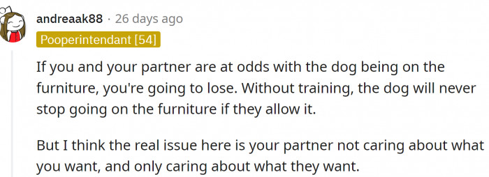 That dog needs training