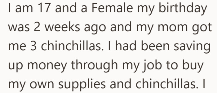 The excitement was real, but so was the preparation. These pets were never meant to be a surprise.