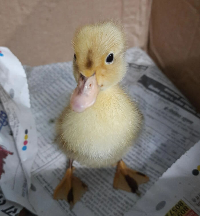 14. “Any name suggestions?”