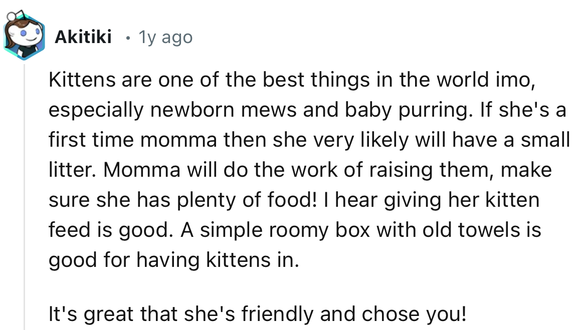 “Kittens are one of the best things in the world, in my opinion, especially newborn mews and baby purring.”