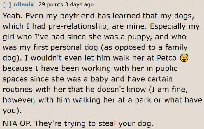 Some Redditors suspect that the roommates' actions are attempts to steal her pet.