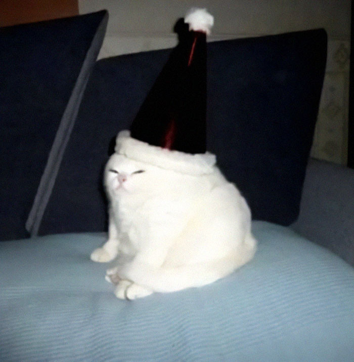 36. Christmas Potato