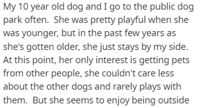 OP goes to the park with their 10-year-old dog all the time