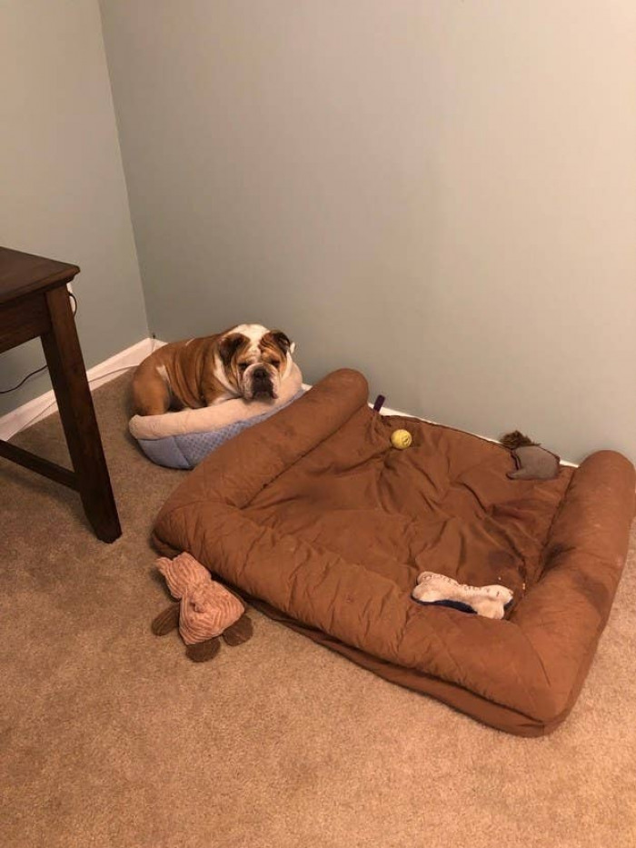 Some of their decisions seem like they don't benefit them at all, but who are we to judge?