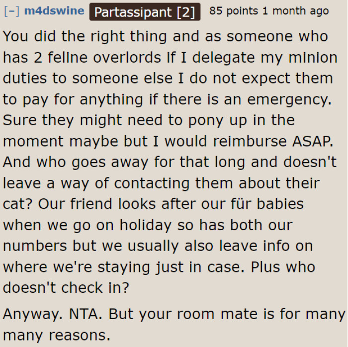 A responsible cat owner pays for everything, especially for the emergency expenses of their pets.