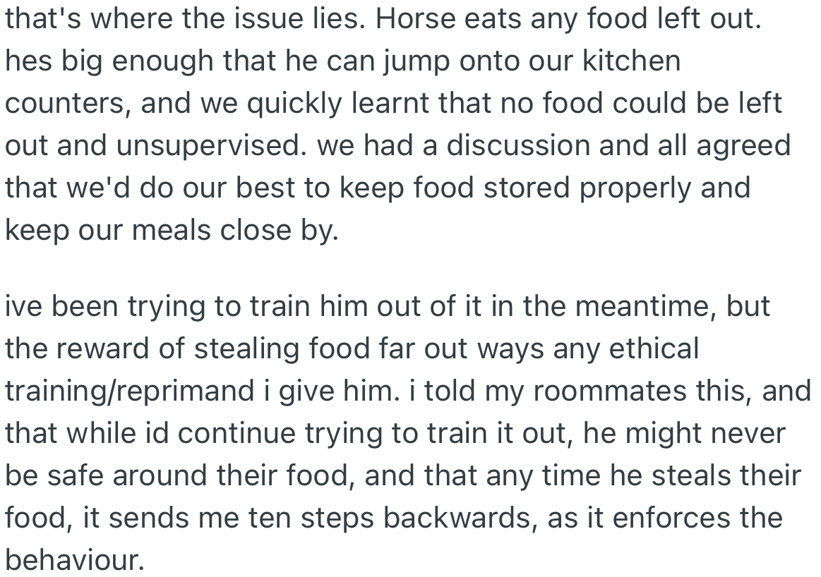 Horse eats any food left within its reach. OP explained this to the roommates, and they all decided to keep their food in a safe place.