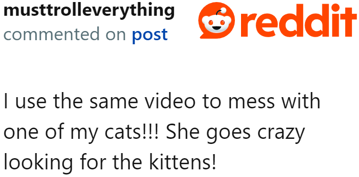 One Redditor has been using this very same video to fool her cats.