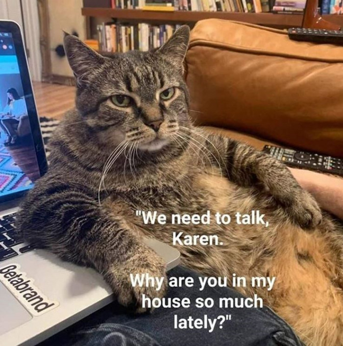 27. How dare you spend so much time in your own home?